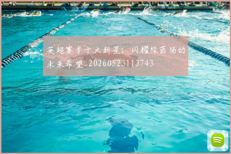英超赛季十大新星:闪耀绿茵场的未来希望_20260523113743